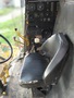 NH 8050 (9).JPG